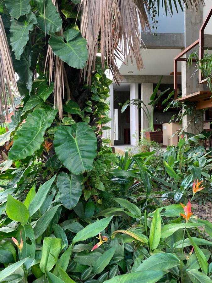Vila Das Aguas Atins Exterior photo